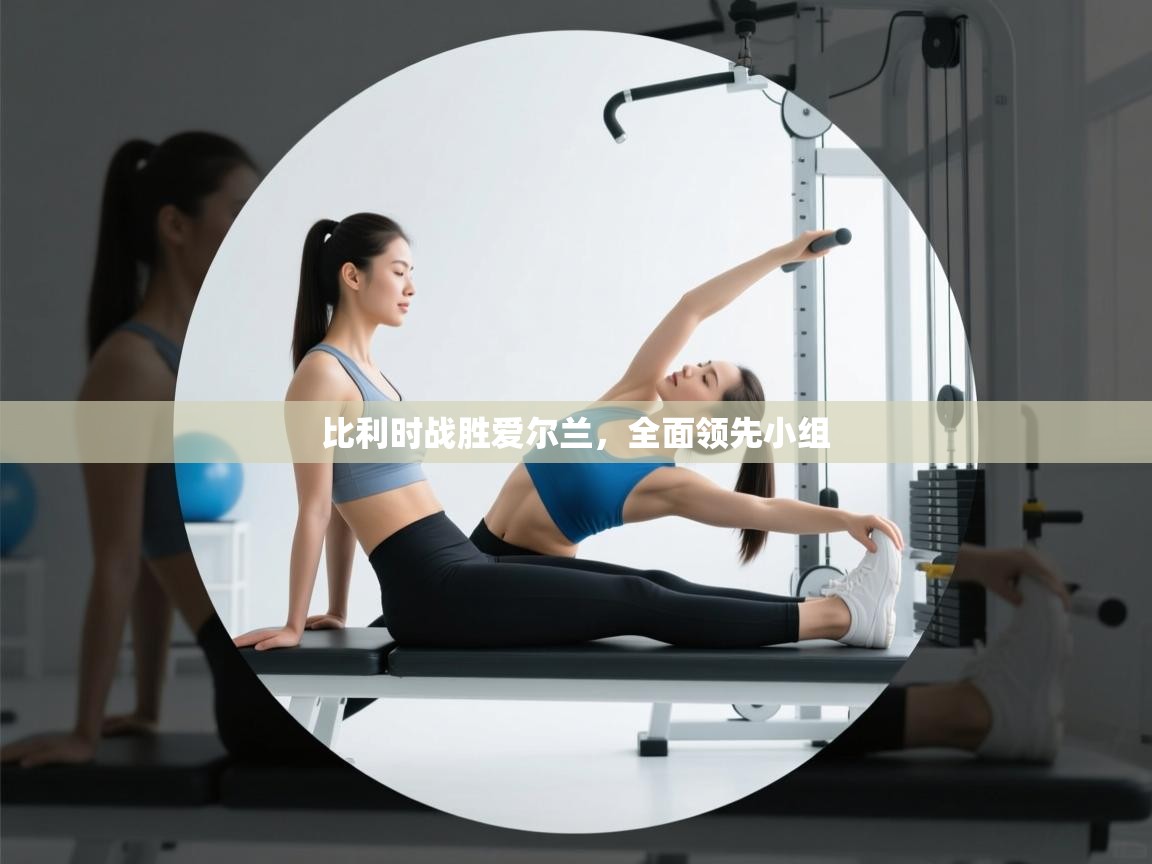 比利时战胜爱尔兰，全面领先小组  第1张