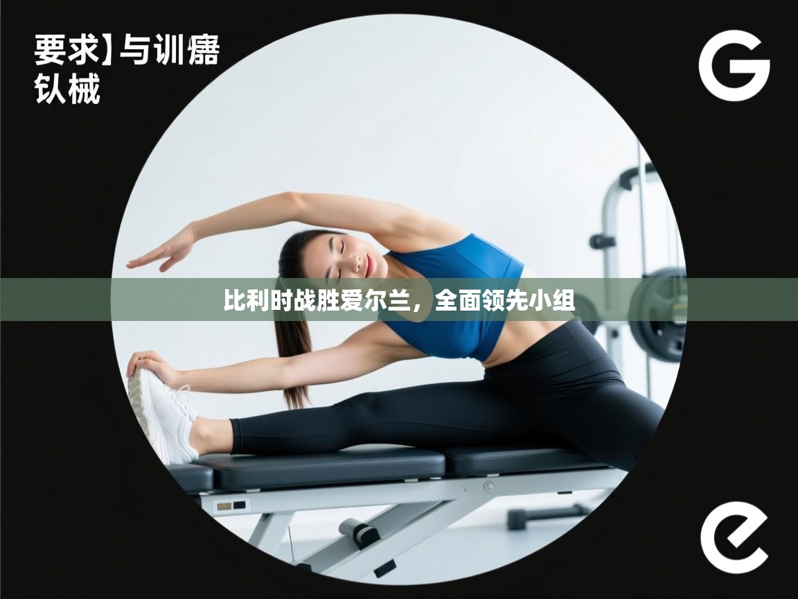 比利时战胜爱尔兰，全面领先小组  第2张