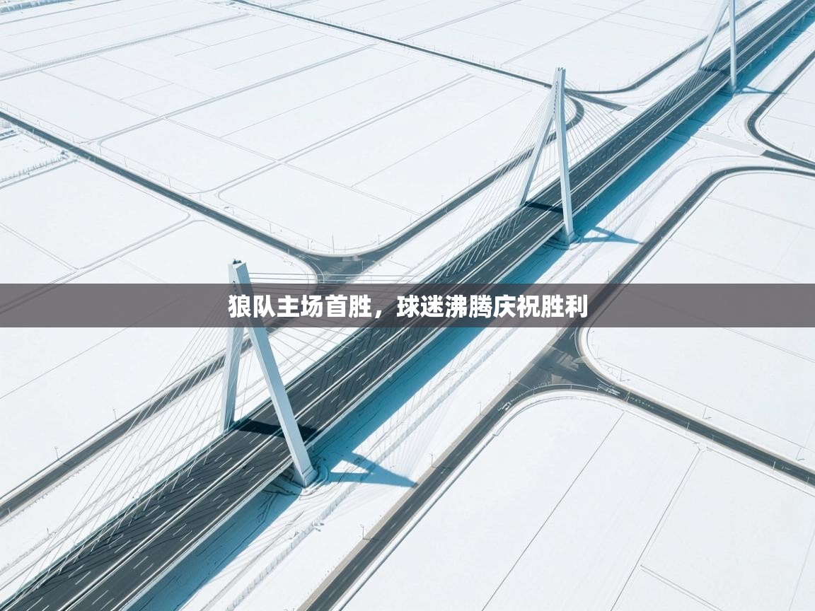 狼队主场首胜，球迷沸腾庆祝胜利  第1张