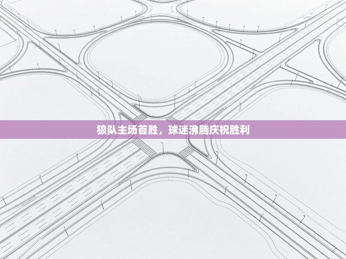 狼队主场首胜，球迷沸腾庆祝胜利  第2张