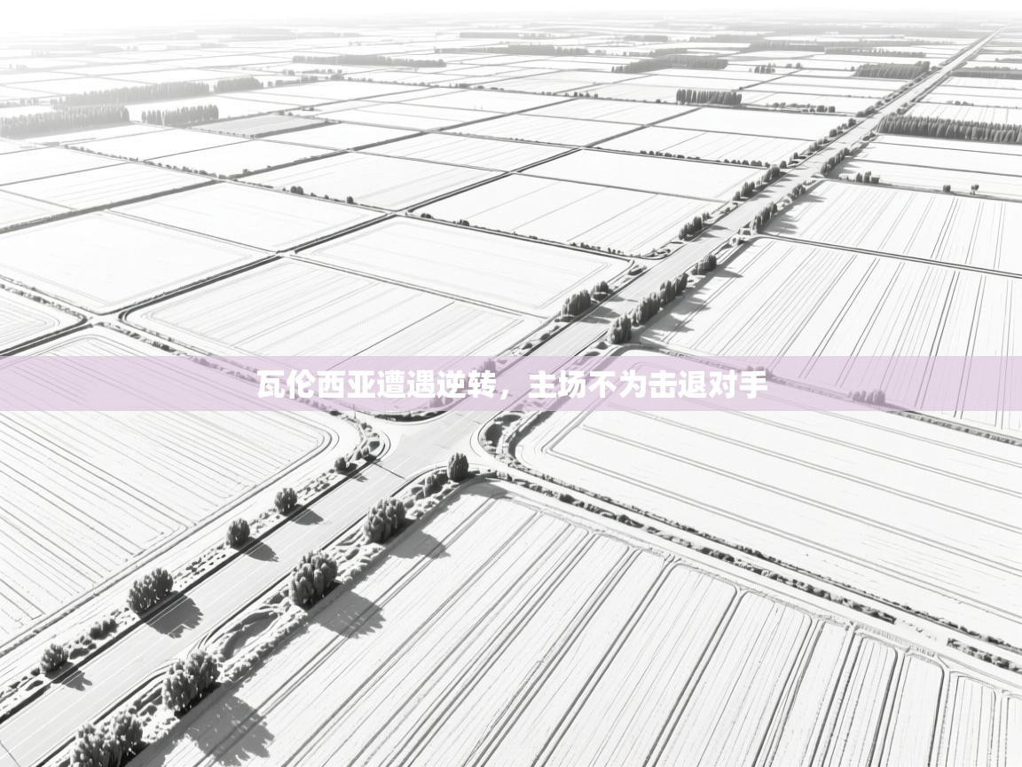 瓦伦西亚遭遇逆转，主场不为击退对手  第2张