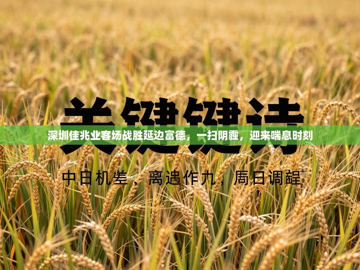 深圳佳兆业客场战胜延边富德，一扫阴霾，迎来喘息时刻  第1张